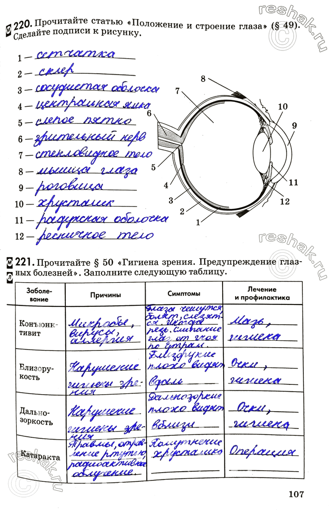 Изображение 220. Прочитайте статью «Положение и строение глаза» (§49). Сделайте подписи к рисунку.221. Прочитайте §50 «Гигиена зрения. Предупреждение глазных болезней». Заполните...