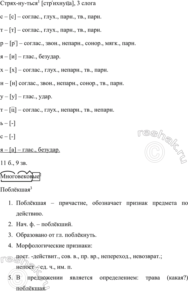 Дополнительное изображение